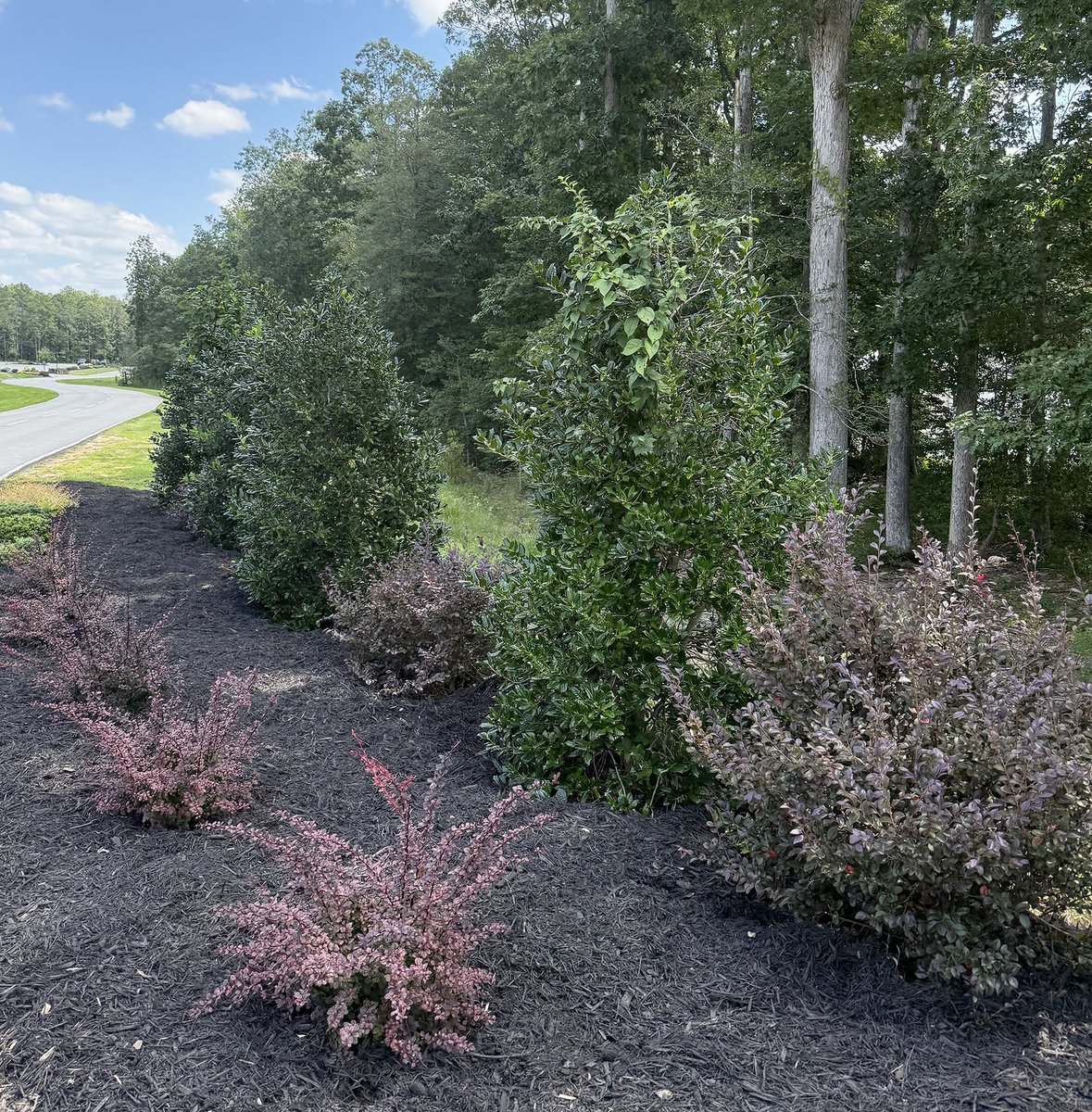 Banner Christian School tweet media