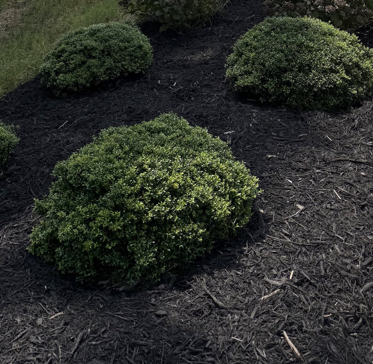 Banner Christian School tweet media