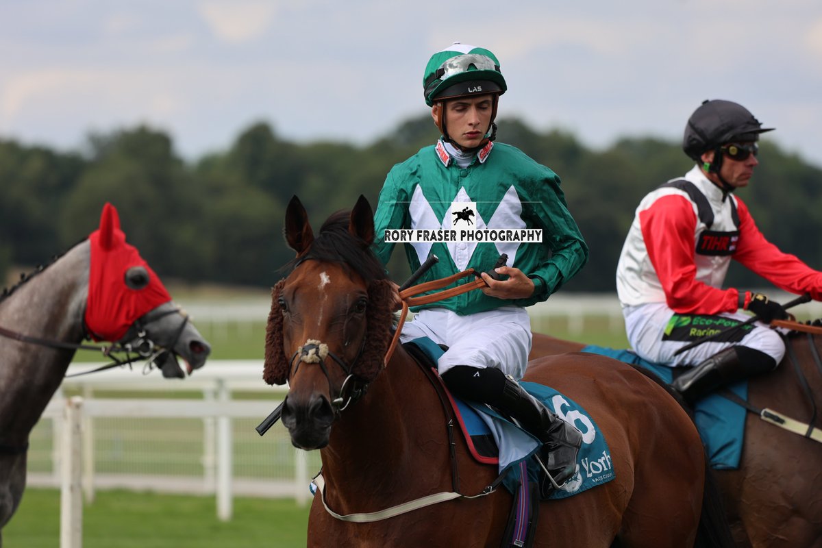 Rory Fraser Photography🤘 (@92roryf) on Twitter photo COSMOS RAJ (Iffraaj x Cosmos Pink) at York recently for a class four handicap (1m)
Trained by <a href="/omeararacing/">David O'Meara</a> and owned by Nick Crummack & Partner.
A twelve time winner from sixty eight starts with twenty two placings. A three time winner so far in 2025. COSMOS RAJ (Iffraaj x Cosmos Pink) at York recently for a class four handicap (1m)
Trained by <a href="/omeararacing/">David O'Meara</a> and owned by Nick Crummack & Partner.
A twelve time winner from sixty eight starts with twenty two placings. A three time winner so far in 2025.