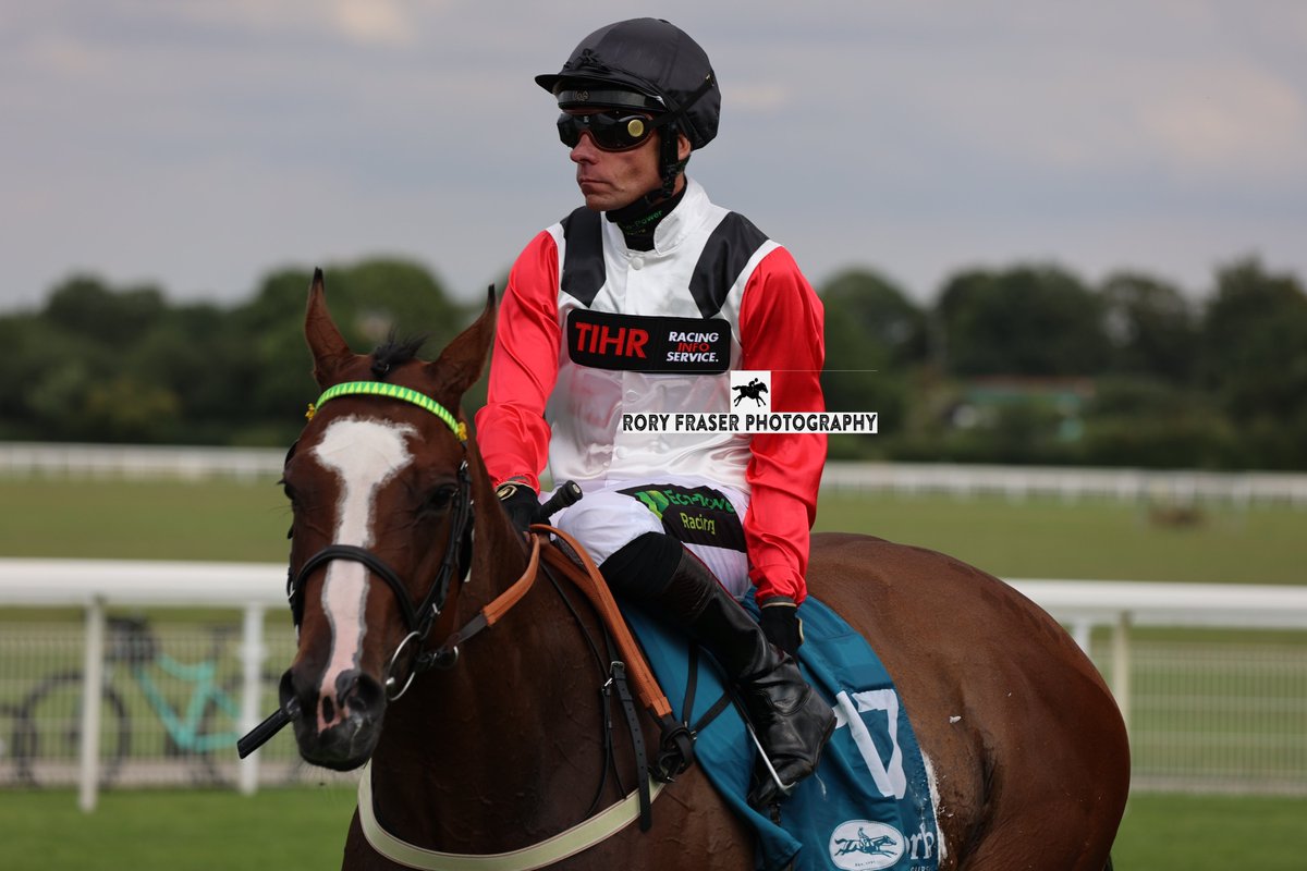 Rory Fraser Photography🤘 (@92roryf) on Twitter photo CHUZZLEWHIT (Showcasing x Furbelow) at York recently for a class four handicap (1m)
Trained by <a href="/sebspencer/">Seb Spencer</a> and owned by Tihr Syndicate.
A two time winner to date, most recently a Class Three handicap in March 2024. CHUZZLEWHIT (Showcasing x Furbelow) at York recently for a class four handicap (1m)
Trained by <a href="/sebspencer/">Seb Spencer</a> and owned by Tihr Syndicate.
A two time winner to date, most recently a Class Three handicap in March 2024.