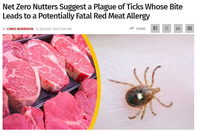 Net Zero Madness: Academics Want to Deliberately Spread Disease-Carrying Ticks to Stop Meat Eating!

A real paper published in Bioethics argues it’s "morally obligatory" to unleash lone star ticks—whose bites cause a deadly red meat allergy (AGS)—to fight climate change.

🔹 No