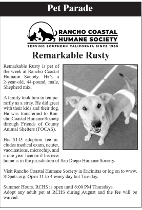 Even a free dog isn't free forever. That's the Critter Corner in the latest issue of The Paper. A cover story about the richest people in the world. And Rancho Coastal Humane Society's pet of the week in Pet Parade. Please Share. issuu.com/thepaper01/doc…