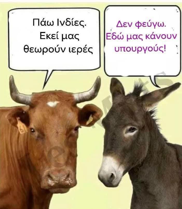 #μητσοτακη_παραιτησου