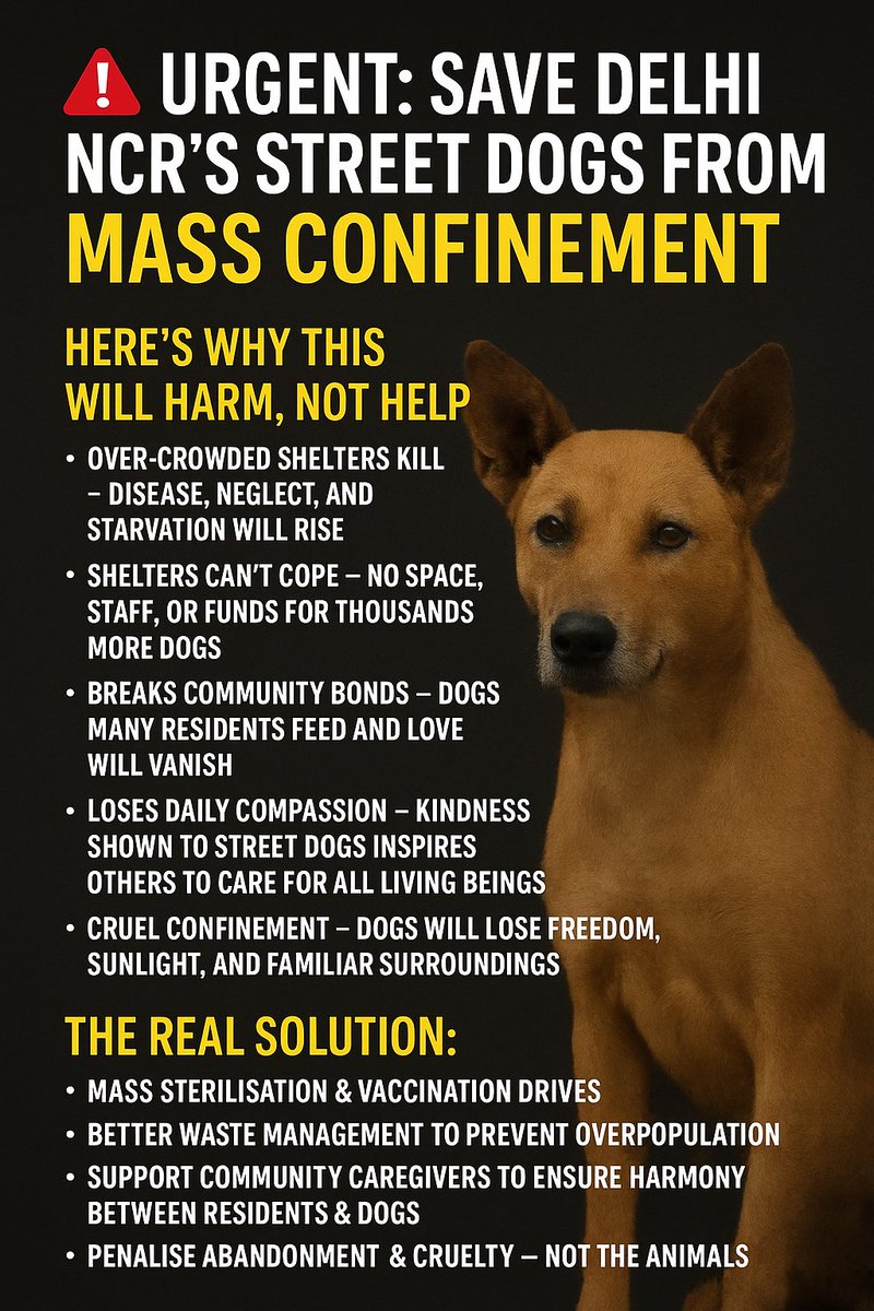 tejaswini 🌏 tweet media