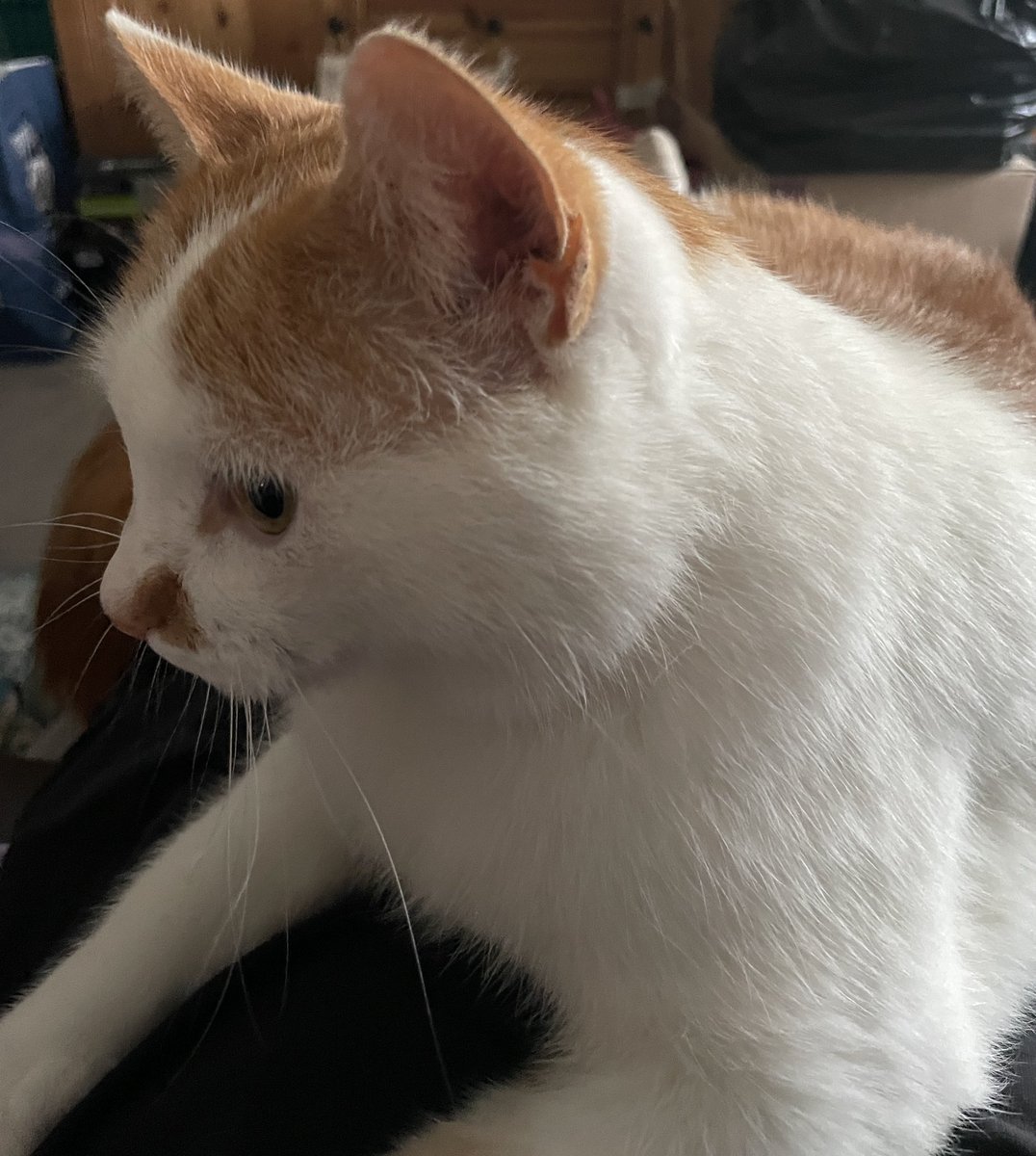 This is not helping me to cool down