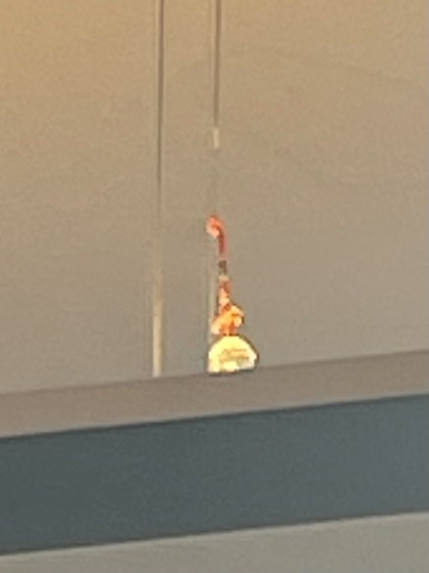 Have you ever noticed theses in the <a href="/swfc/">Sheffield Wednesday</a> club shop ? To warn off evil spirits they don’t work because he’s still here. Gold frogs above the entrances and crystals hanging fromthe ceiling. #swfc #WAWAW #uto