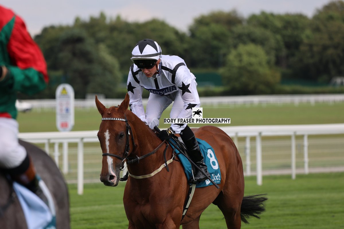 Rory Fraser Photography🤘 (@92roryf) on Twitter photo BELLARCHI (Mehmas x Drop Dead Gorgeous) at York recently for a class four handicap (1m)
Trained by <a href="/granttuerracing/">Grant Tuer Racing</a> and owned by <a href="/NBradleyRacing/">Nick Bradley Racing</a>.
Now an eight time winner from thirty-five starts after winning at Musselburgh last week. BELLARCHI (Mehmas x Drop Dead Gorgeous) at York recently for a class four handicap (1m)
Trained by <a href="/granttuerracing/">Grant Tuer Racing</a> and owned by <a href="/NBradleyRacing/">Nick Bradley Racing</a>.
Now an eight time winner from thirty-five starts after winning at Musselburgh last week.