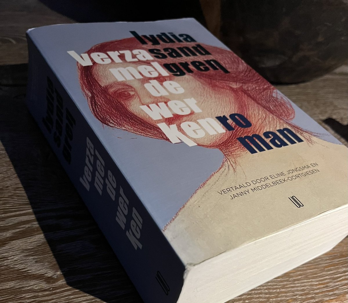 Nieuwe roman in september! 🥳
#LydiaSandgren #Artensöverlevnad (Het voortbestaan van de soort)
Auteur van #Verzameldewerken👇