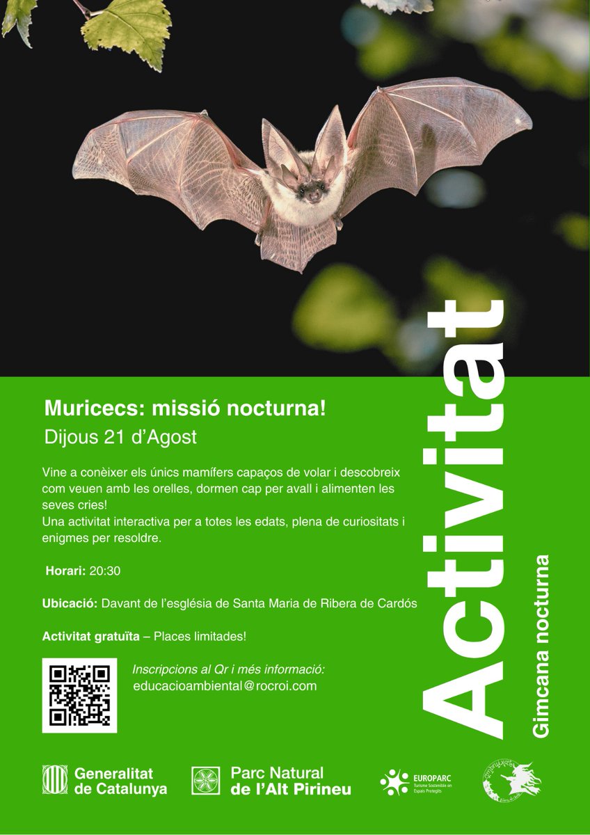 🦇 Descobreix el fascinant món dels ratpenats!
📅 21 d’agost · ⏰ 20:30 h
📍 Sta. Maria de Ribera de Cardós
Activitat gratuïta de la #FiraAmbruixat, plena de curiositats i enigmes per resoldre.
🔗 forms.gle/EHKT1zBgNzHt5C…
#PNAltPirineu #muricecs #NitdelsRatpenats