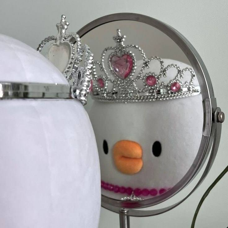 Welcome to the official $BABA Community, Shill, behave, listen to Music and vibe, 

Remember, THE TIARA STAYS ON