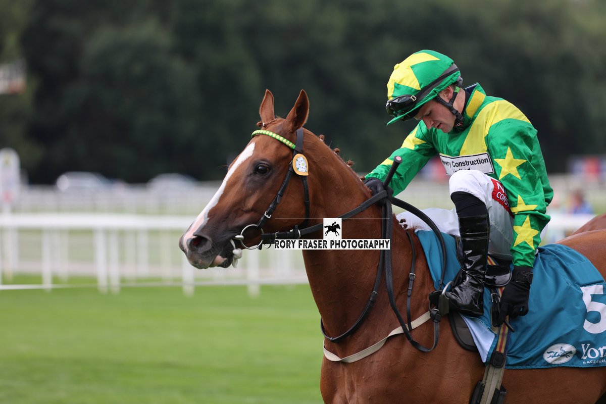 Rory Fraser Photography🤘 (@92roryf) on Twitter photo ALESSIA FERNANDA (Starspangledbanner x Colour Bright) at York recently for a class four handicap (1m)
Trained by <a href="/declan_carroll/">Declan Carroll</a> and owned by Highgreen Partnership.
A winner on stable debut at Musselburgh in April this year, her second career win. ALESSIA FERNANDA (Starspangledbanner x Colour Bright) at York recently for a class four handicap (1m)
Trained by <a href="/declan_carroll/">Declan Carroll</a> and owned by Highgreen Partnership.
A winner on stable debut at Musselburgh in April this year, her second career win.