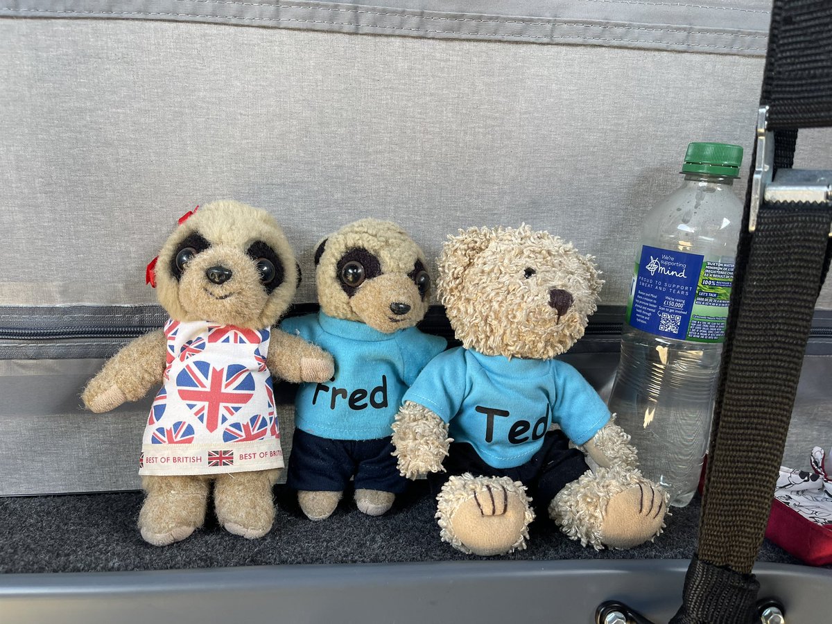 Fred & Ted 🧢 (@fredtedolga) on Twitter photo Sorry we've not been diligent Zombie hunting - but there's none round here - even Olga said so #ZSHQ <a href="/ZombieSquadHQ/">ZombieSquadHQ💖💚🧡💚🩵©</a> - sill have got the app 😬 Sorry we've not been diligent Zombie hunting - but there's none round here - even Olga said so #ZSHQ <a href="/ZombieSquadHQ/">ZombieSquadHQ💖💚🧡💚🩵©</a> - sill have got the app 😬