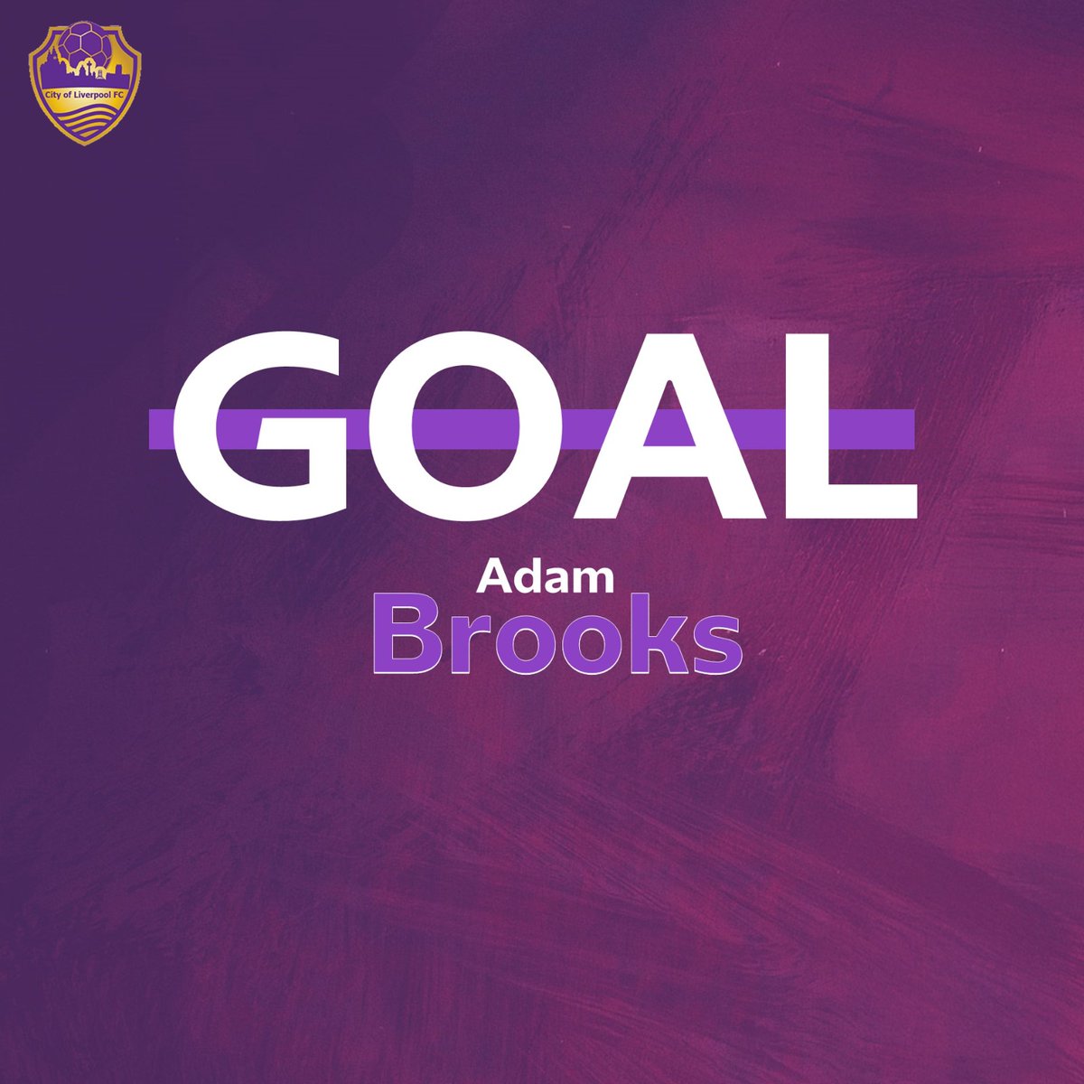 City of Liverpool FC (@cityoflpoolfc) on Twitter photo 