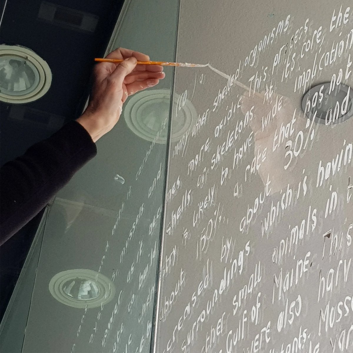 Creative Arc is offering grants of £1,000–£2,500 for projects that bring people together and celebrate our city. Whether you’re starting something new or building on existing work, they’re looking for ideas.

More: news.exeter.gov.uk/art-funding-av…