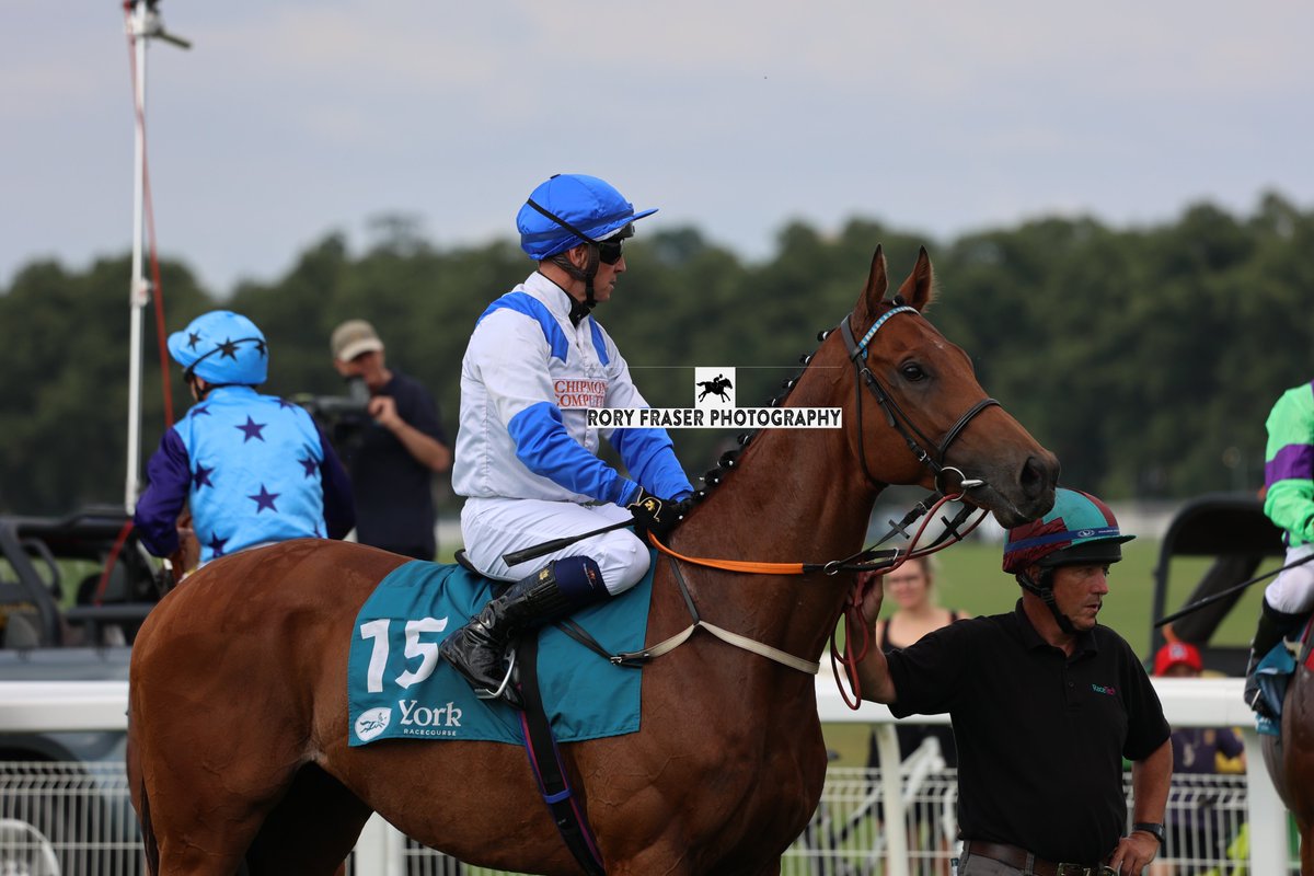 Rory Fraser Photography🤘 (@92roryf) on Twitter photo MASTER OF COMBAT (Invincible Spirit x Sharja Queen) at York recently for a class four handicap (1m)
Trained by <a href="/Fro5tRacing/">Kevin Frost Racing</a> and owned by Law Abiding Citizens.
A five time winner to date, most recently at Wolverhampton in September 2024. MASTER OF COMBAT (Invincible Spirit x Sharja Queen) at York recently for a class four handicap (1m)
Trained by <a href="/Fro5tRacing/">Kevin Frost Racing</a> and owned by Law Abiding Citizens.
A five time winner to date, most recently at Wolverhampton in September 2024.