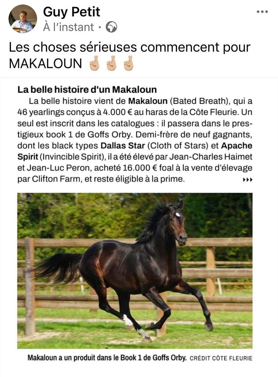 GUY PETIT (@guypetit1) on Twitter photo 