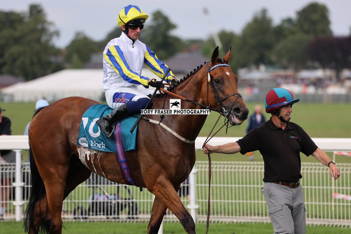 Rory Fraser Photography🤘 (@92roryf) on Twitter photo EMPIRE OF LIGHT (Kodiac x Querulous) at York recently for a class four handicap (1m)
Trained by <a href="/granttuerracing/">Grant Tuer Racing</a> and owned by The Weighting Game.
A two time winner from seventeen starts with six placings to date. EMPIRE OF LIGHT (Kodiac x Querulous) at York recently for a class four handicap (1m)
Trained by <a href="/granttuerracing/">Grant Tuer Racing</a> and owned by The Weighting Game.
A two time winner from seventeen starts with six placings to date.