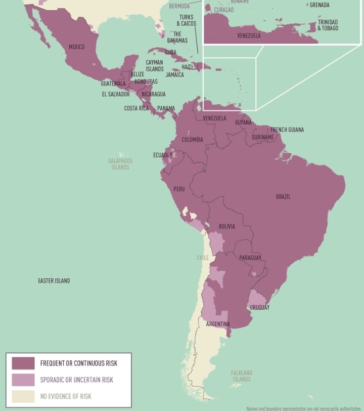 Mapas Latinos tweet media