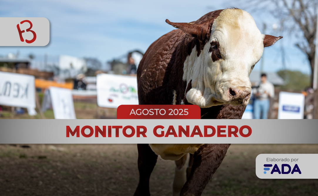 ¿Cuáles son los indicadores económicos más importantes en ganadería? ¿Y los precios del mercado? ¿Cómo afecta la macroeconomía en el día a día?

Enterate de lo importante en tu #MonitorGanaderoBraford de Agosto.

➡️ Informe mensual junto a @fundacionfada braford.org.ar/mg