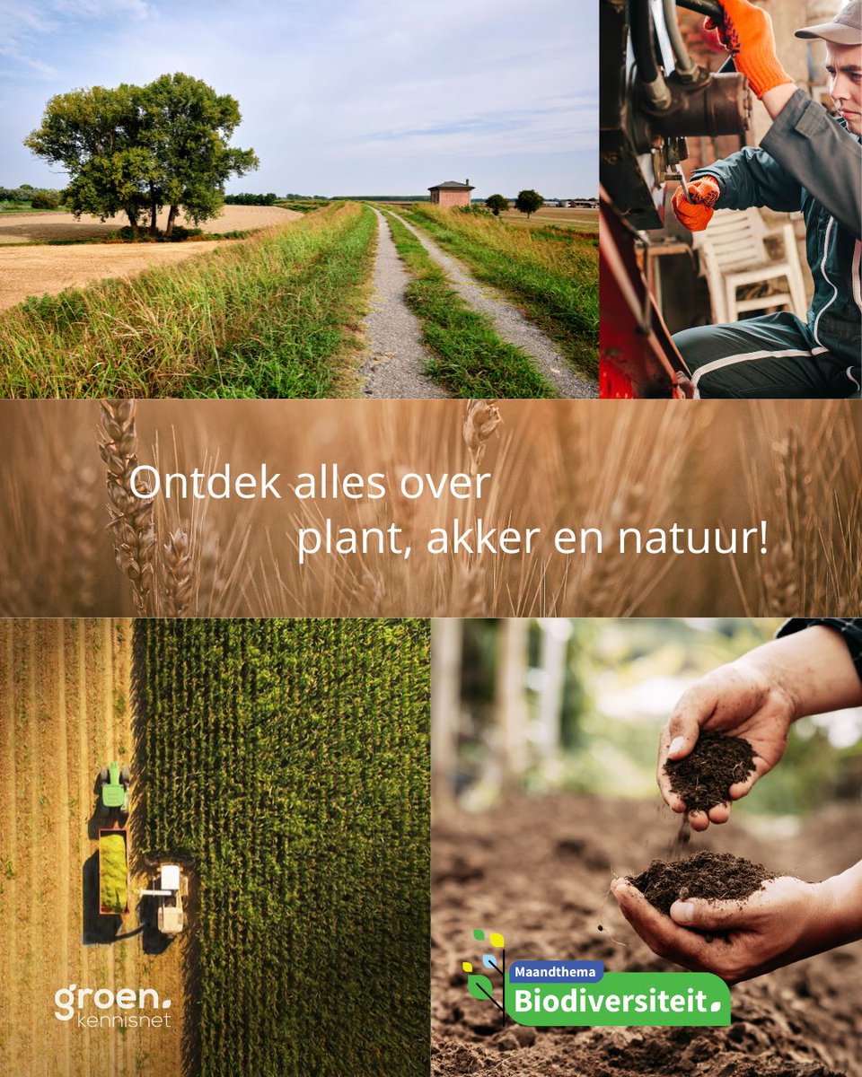groenkennisnet's tweet photo. 🎉 Grondig viert een jubileumeditie!
Van “Het Loonbedrijf” naar dé kennisbron voor groen, grond en infra. Nu tijdelijk toegankelijk via de kennisbank van Groen Kennisnet.
#Vakbladvandemaand #Grondig https://t.co/XnCbXPVXr0