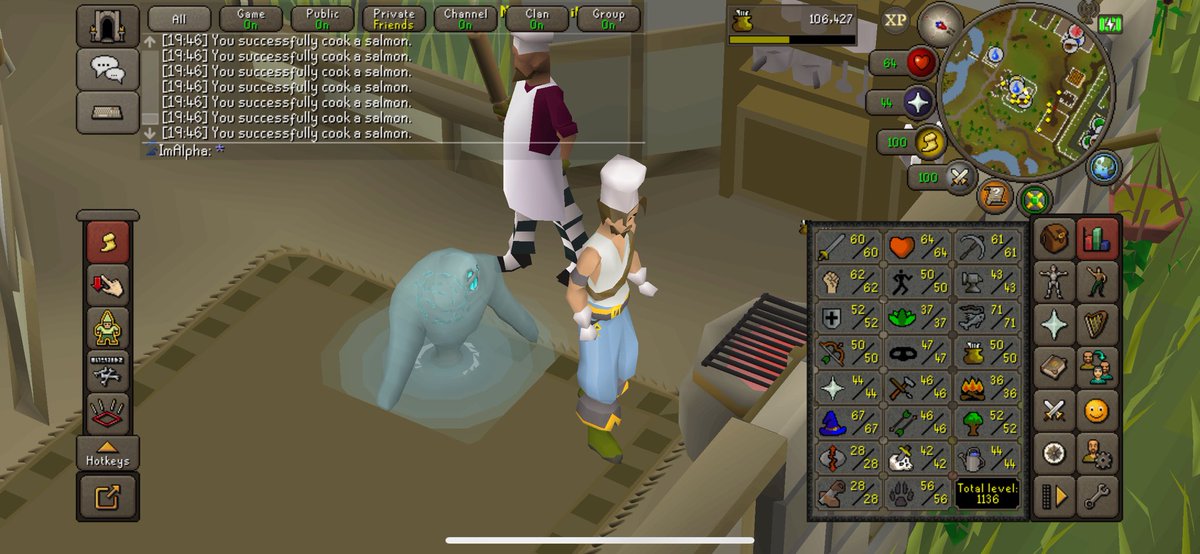 Got my first 1/8k pet on RuneScape ! Been loving the game .