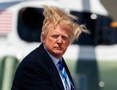 No2Decatur's tweet image. tRump has 1,277 days left in office. What could go wrong?!😑