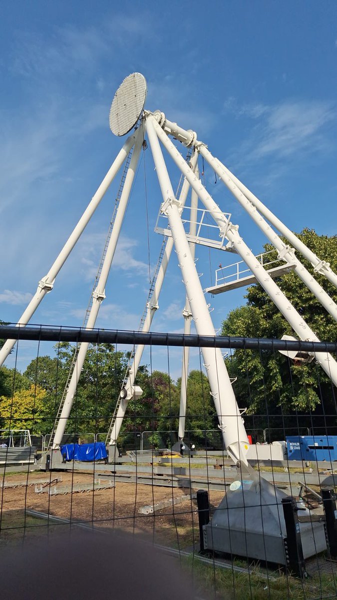 Emma Mills tweet media