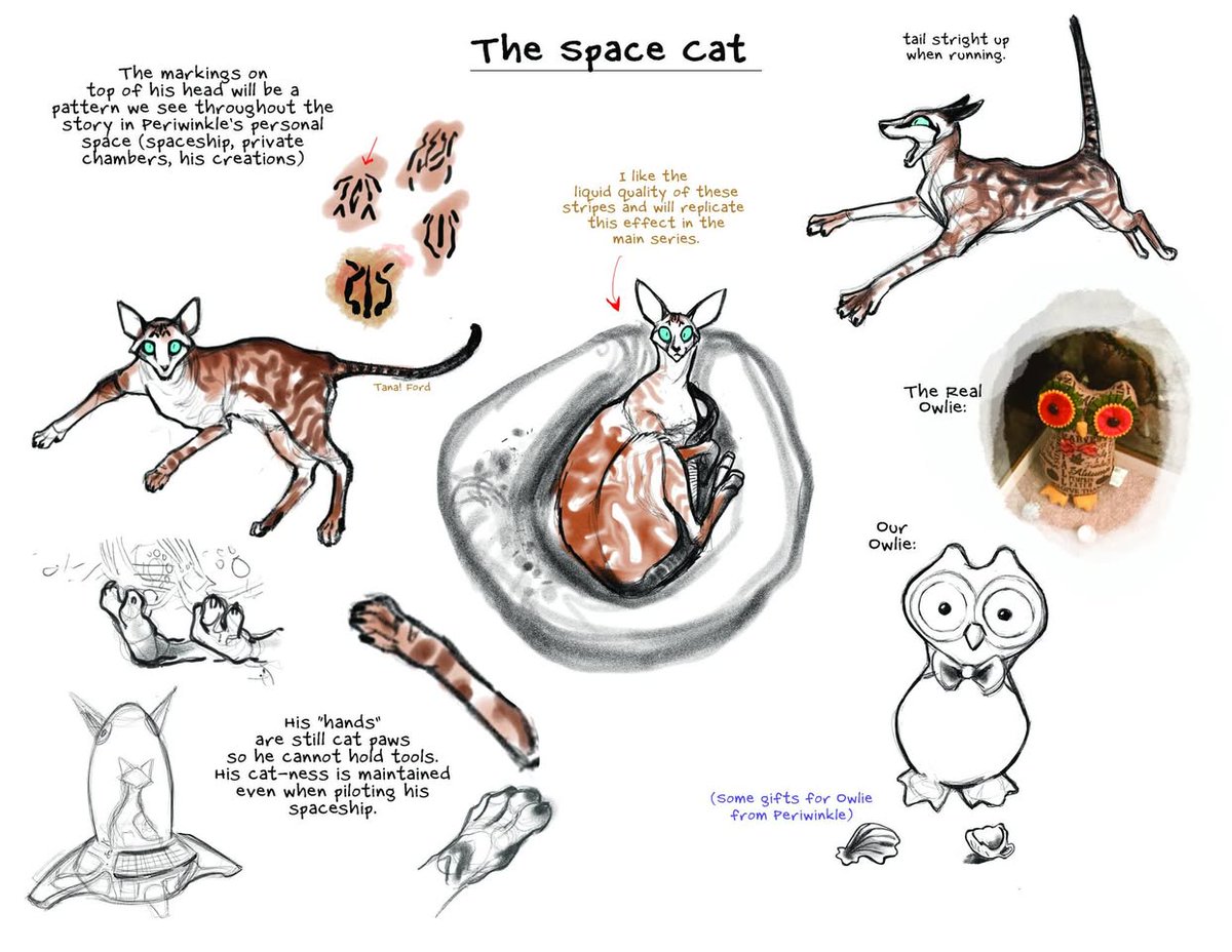 🐱🌌