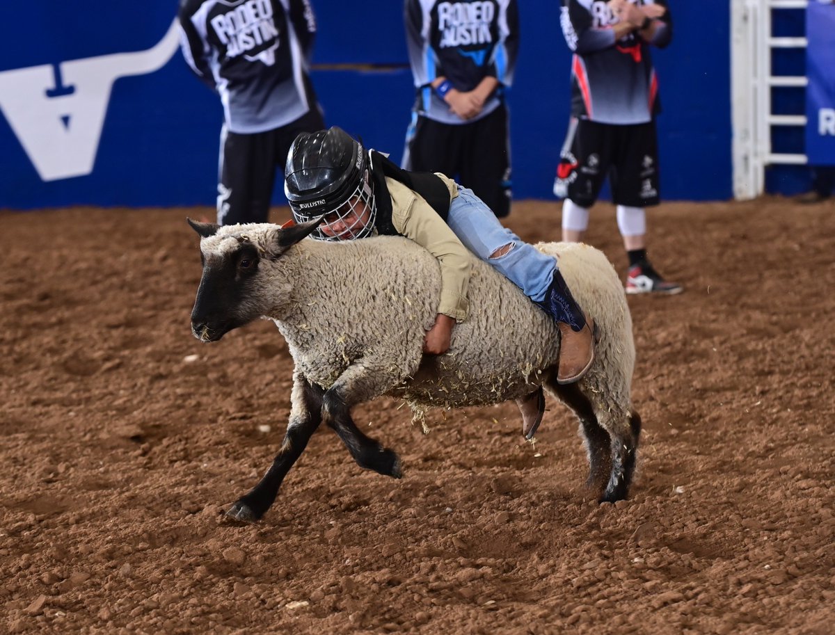 Future rodeo stars in the making. 🌟
