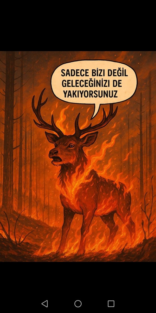 GulbayFiliz (@gulbayfiliz1) on Twitter photo 