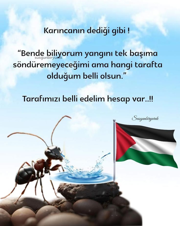 HÜKÜMETİMİZE BOYKOT ÇAĞRIMIZDIR!
Katil İsrail ve destekçilerinin sembol markaları tüm kamu kurumlarında yasaklansın, satışı yapılmasın!
#HükümetimizeÇağrımızdır