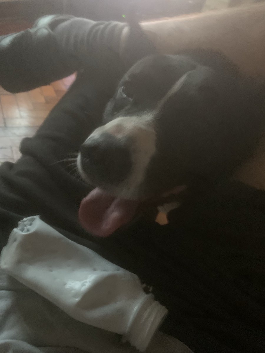 GavinM_onair's tweet image. Playtime