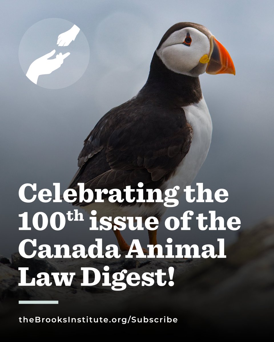 The Brooks Institute tweet media