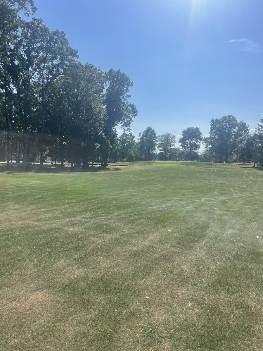 @tomheight tweet media