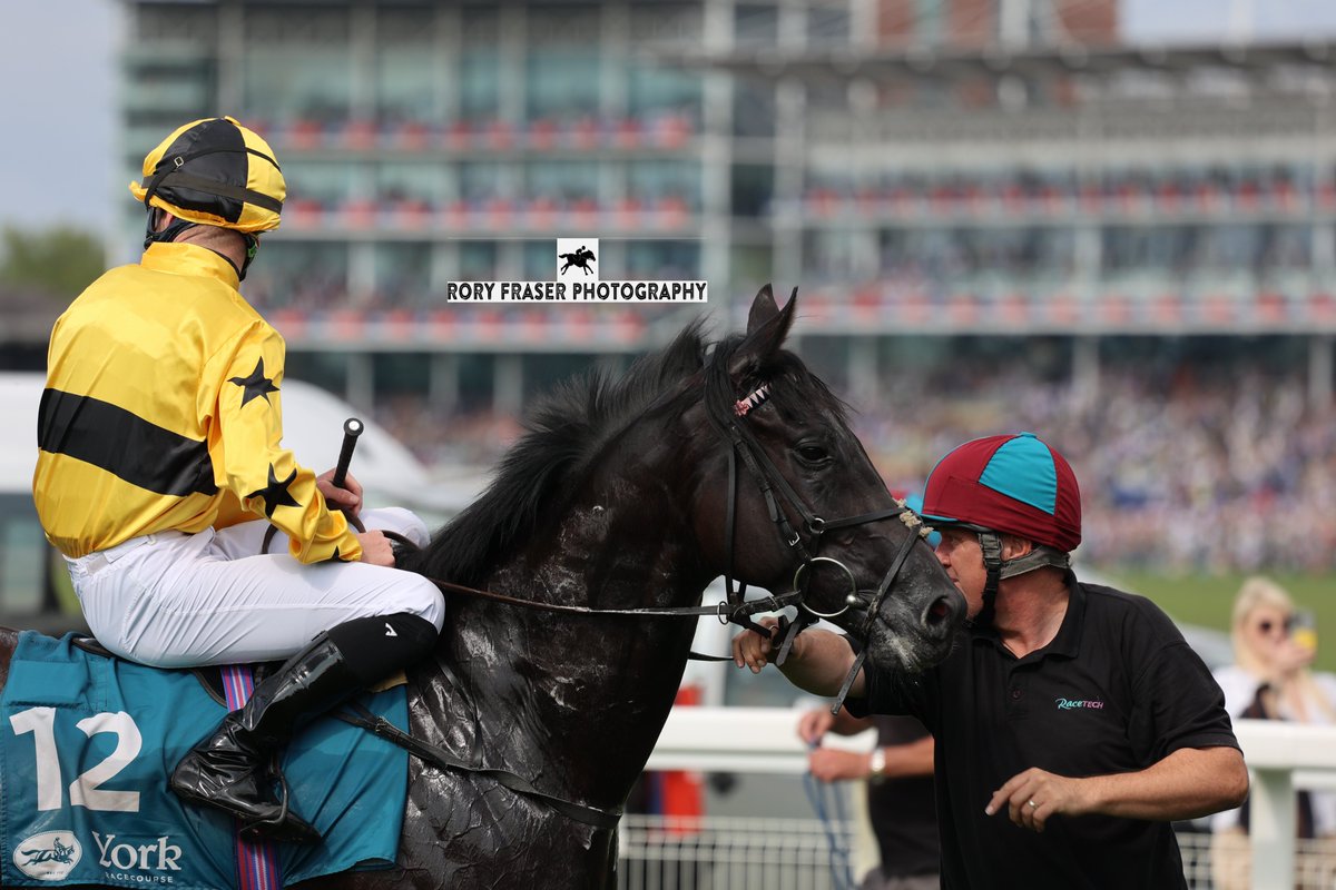 Rory Fraser Photography🤘 (@92roryf) on Twitter photo YAAJOOZ (Ten Sovereigns x My Dorris) at York recently for a class four handicap (1m)
Trained by David & <a href="/MickEasterby/">Michael & David Easterby Racing</a> and owned by UK Farming Renewable Energy Racing.
A one time winner to date and placed three times so far in 2025 YAAJOOZ (Ten Sovereigns x My Dorris) at York recently for a class four handicap (1m)
Trained by David & <a href="/MickEasterby/">Michael & David Easterby Racing</a> and owned by UK Farming Renewable Energy Racing.
A one time winner to date and placed three times so far in 2025