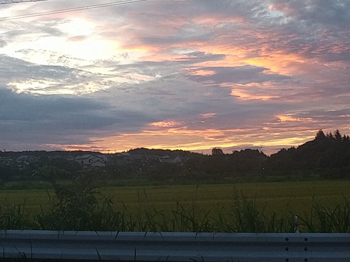 Mari88855's tweet photo. 朝だよー☀ https://t.co/99q1wRhWBm