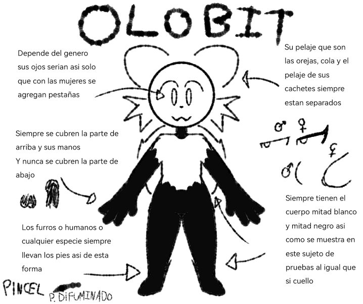 Una pequeña informacion de lo que es luria