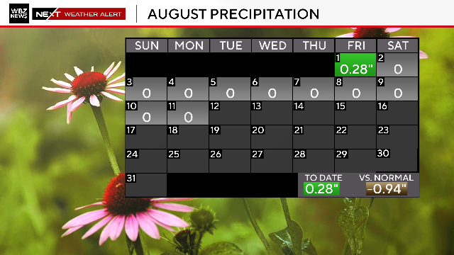Boston has now gone 11 consecutive days without any measurable precipitation.  That is the longest streak of dry days this year