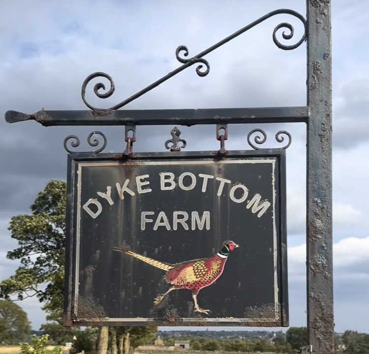 kissovd34th's tweet photo. i went to the dyke bottom farm and everybody said they knew u https://t.co/4nneb11vUV
