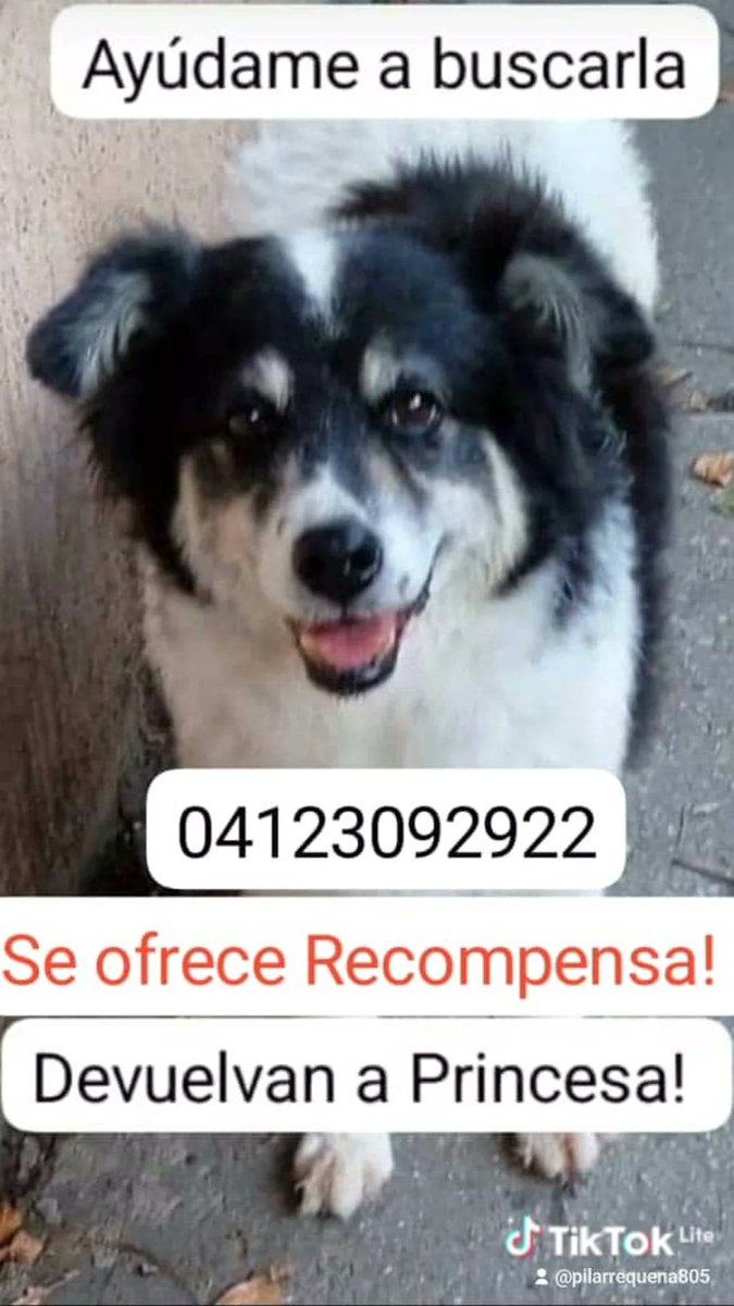 PilarRequena7's tweet photo. Buscamos por los Chaguaramos atenta gente de la zona. Por favor sia ven avisen . resguardar. https://t.co/KcV2JZDha3