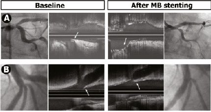 Salman Arain tweet media