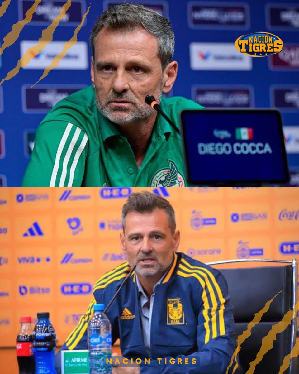 Nación Tigres tweet media