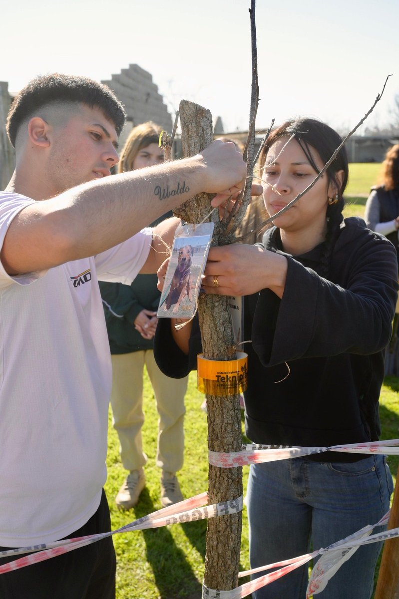 MunicipioEE's tweet photo. Jóvenes de la ONG A Paso Firme apadrinada por El Campito Refugio plantaron árboles en el predio de #Canning, como parte del Proyecto Jóvenes Sembrando Cambio, Sombra y Futuro, con el apoyo del Fondo de Juventud y Acción Climática de @BloombergDotOrg, @publicinno y @uclg_org. https://t.co/YhvdmvRLws