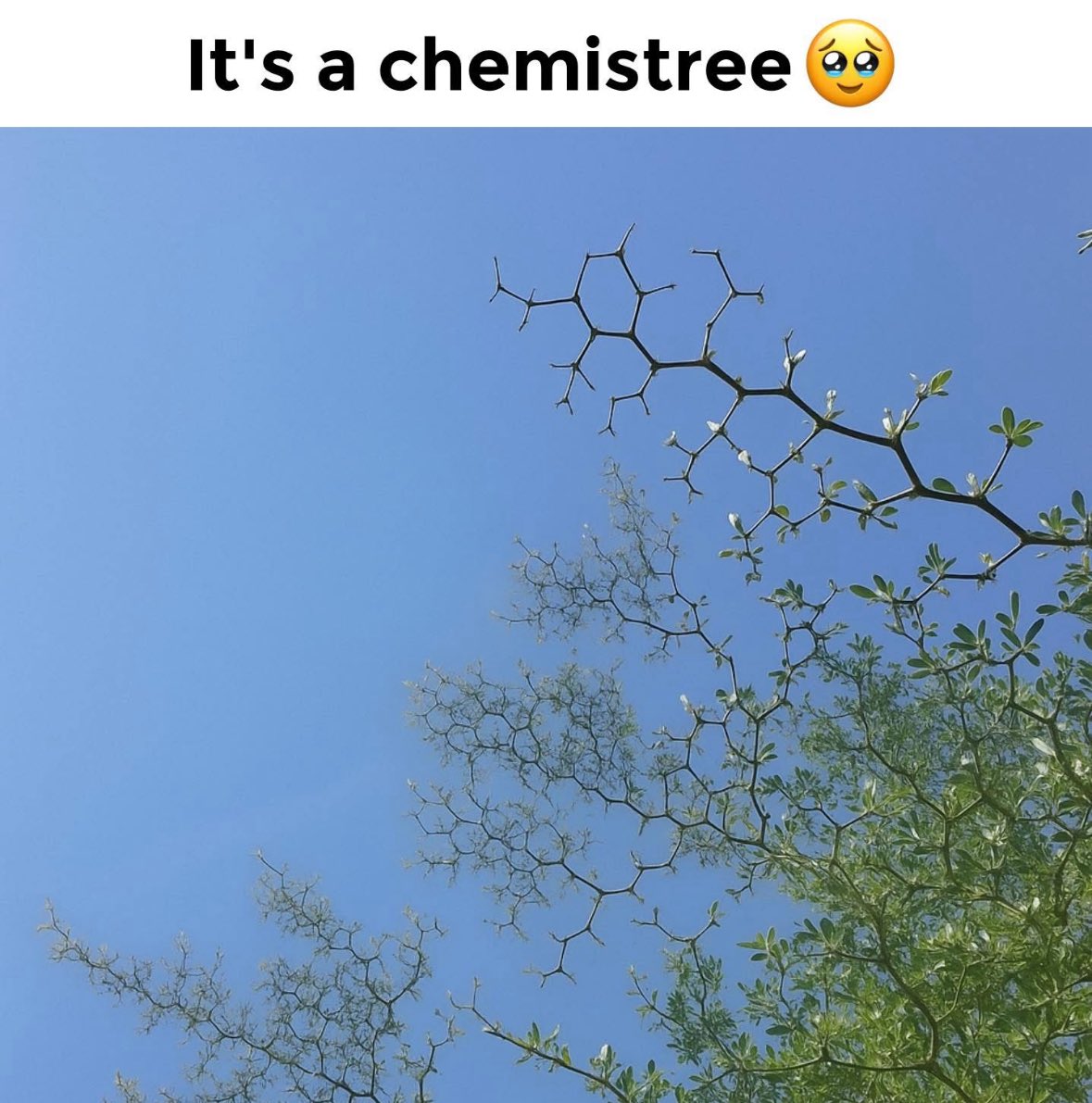 Respectful Memes tweet media