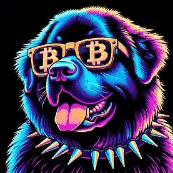 BitShades Dogs :: Celebrating Man's Best Friend tweet media