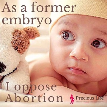 LifeNews.com (@lifenewshq) on Twitter photo 