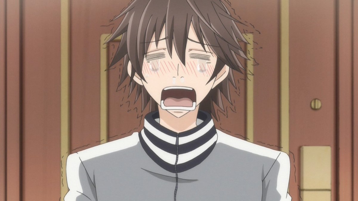 純情ロマンチカ