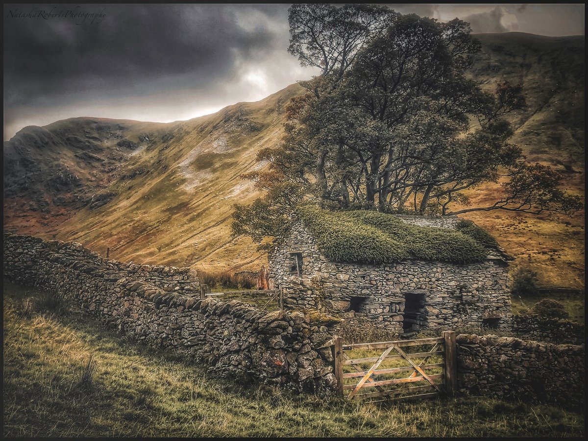 Natasha Roberts Imagery tweet media