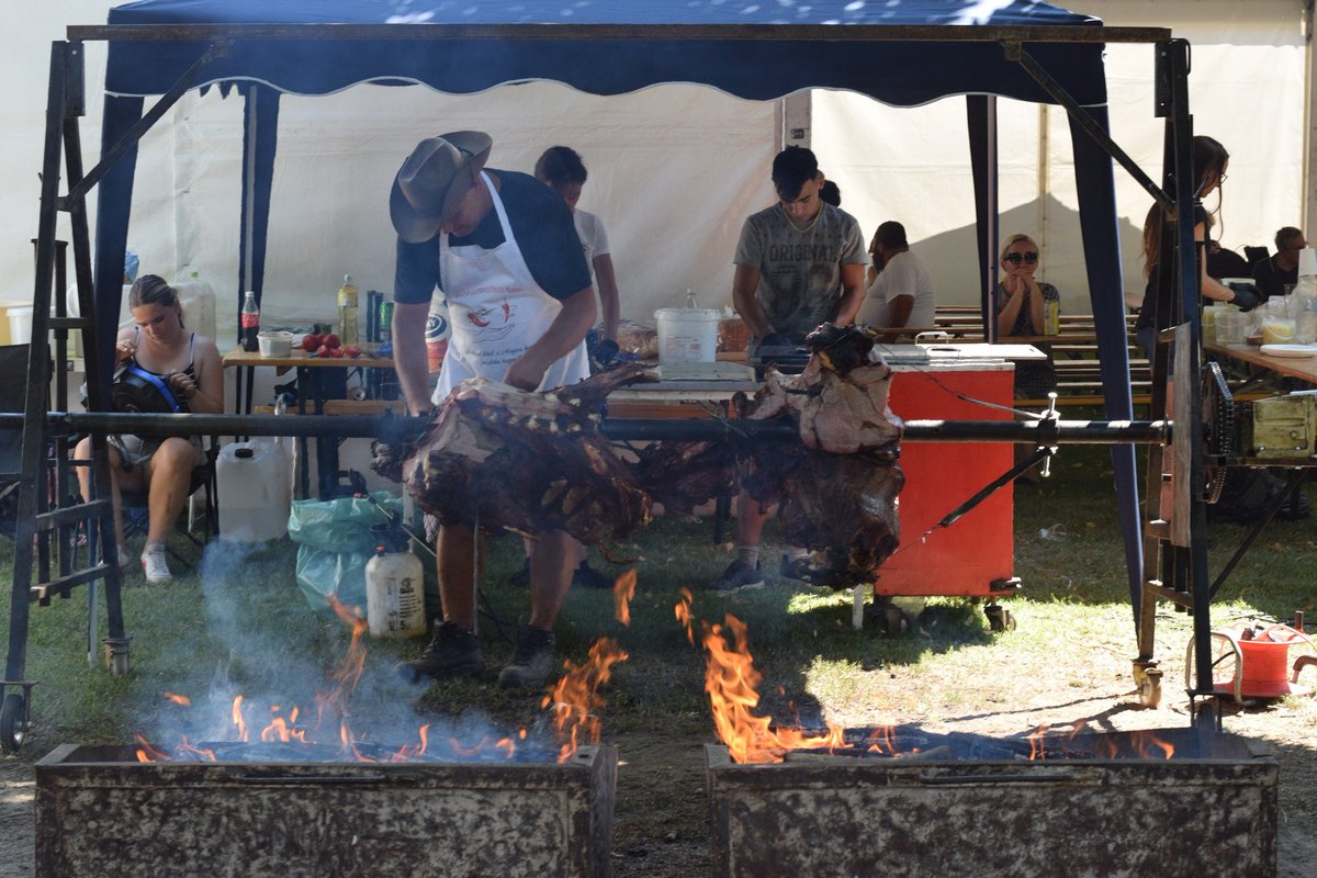 Zsófia Clemens, PhD tweet media