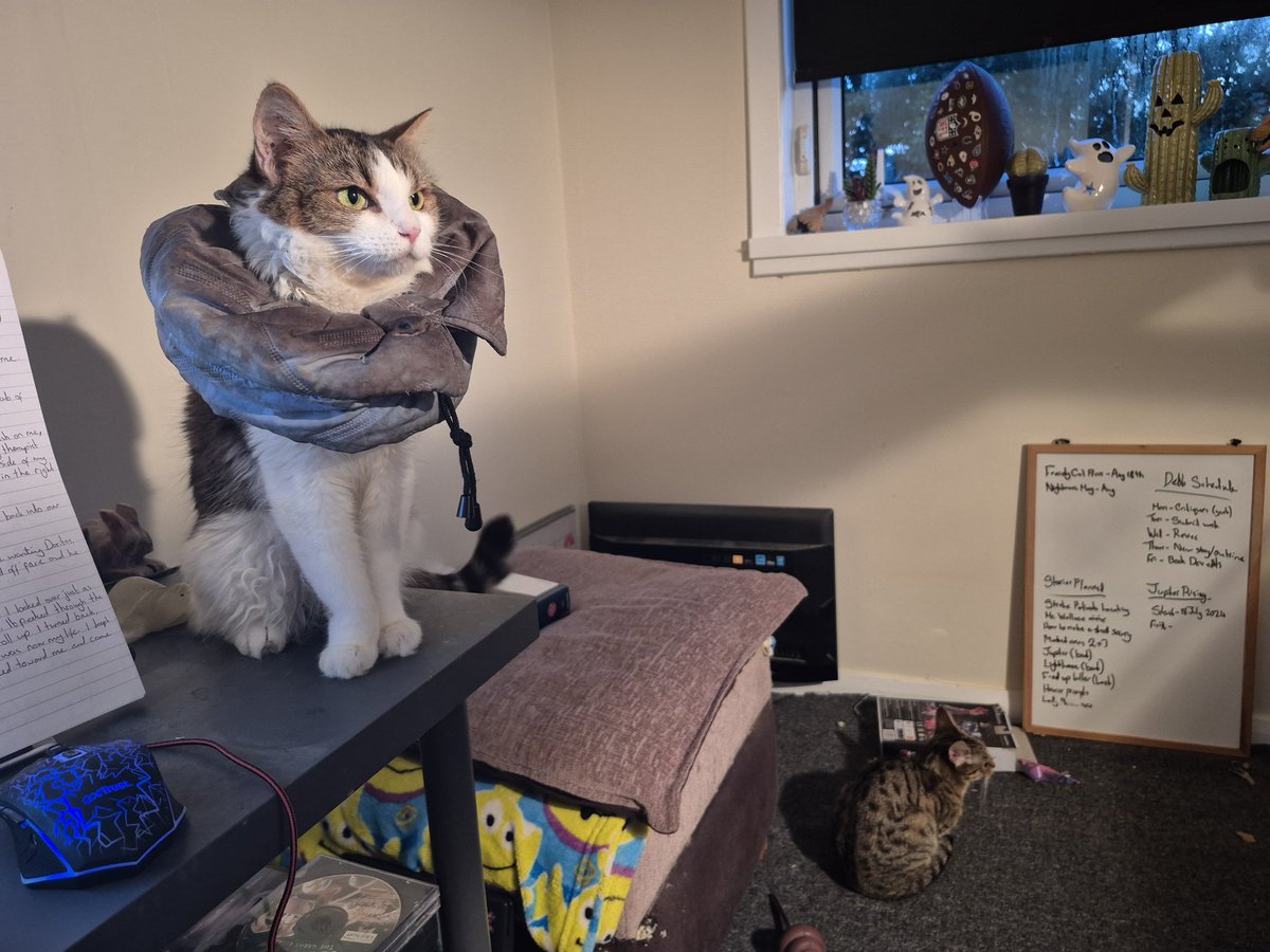 D.L. Nixon tweet media